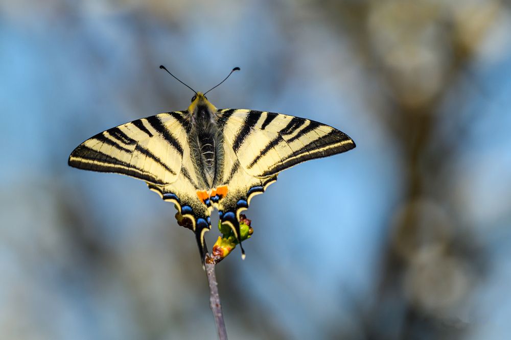 Photograph by levi bagy