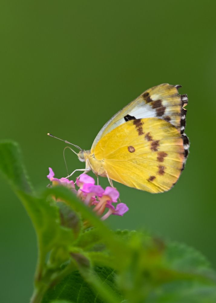 Photograph by Sathishkumar S