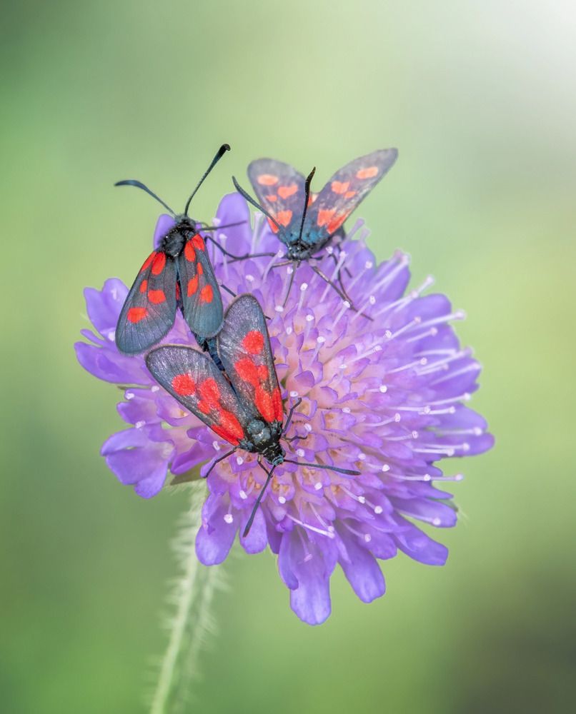 Photograph by Дарья