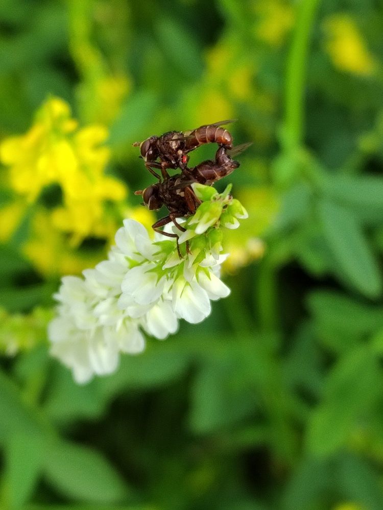 Photograph by Наталья Горовых