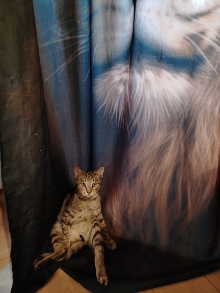 Photo #12075442
