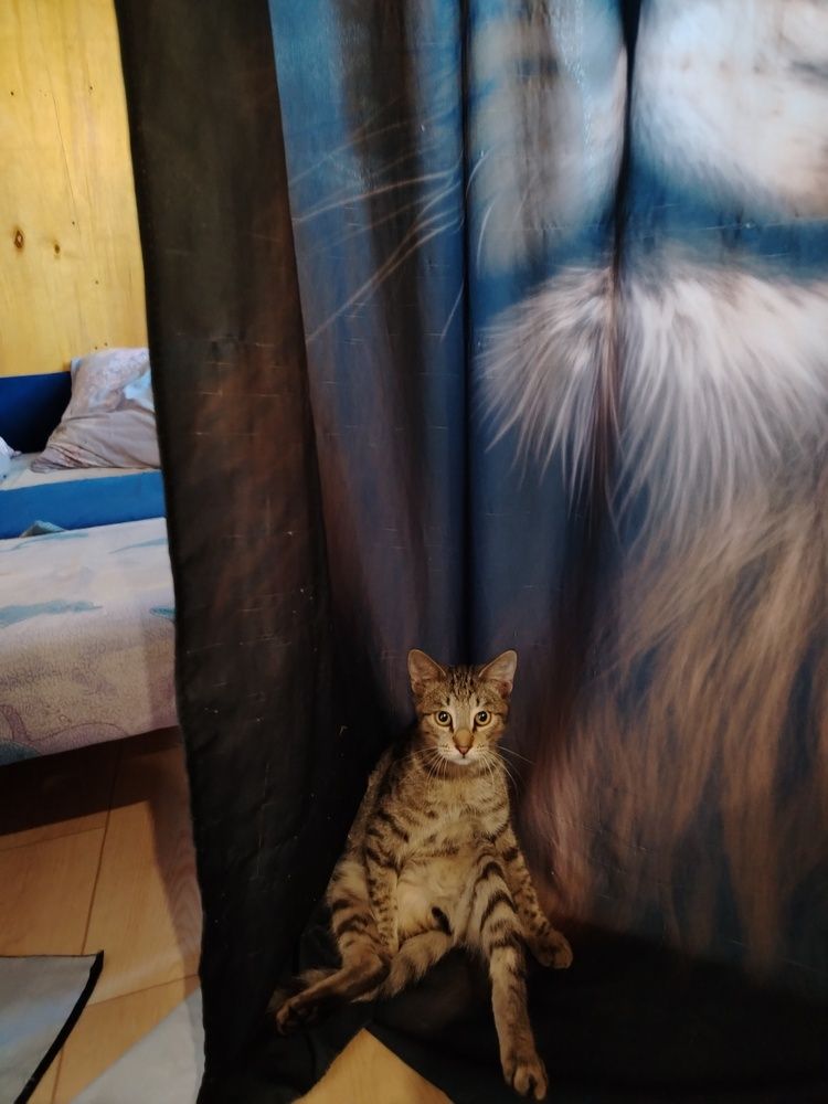 Photo #12075456