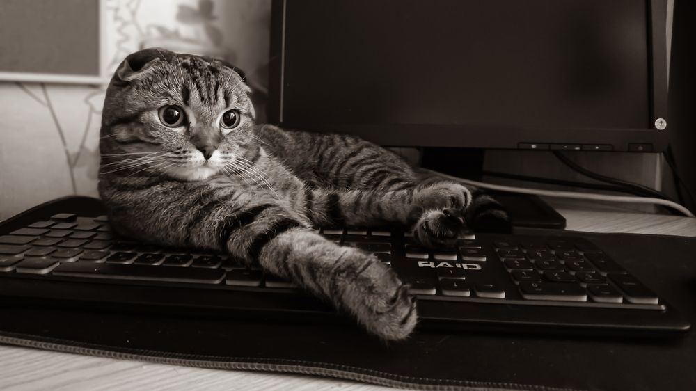 Photograph by Ксения Моськина