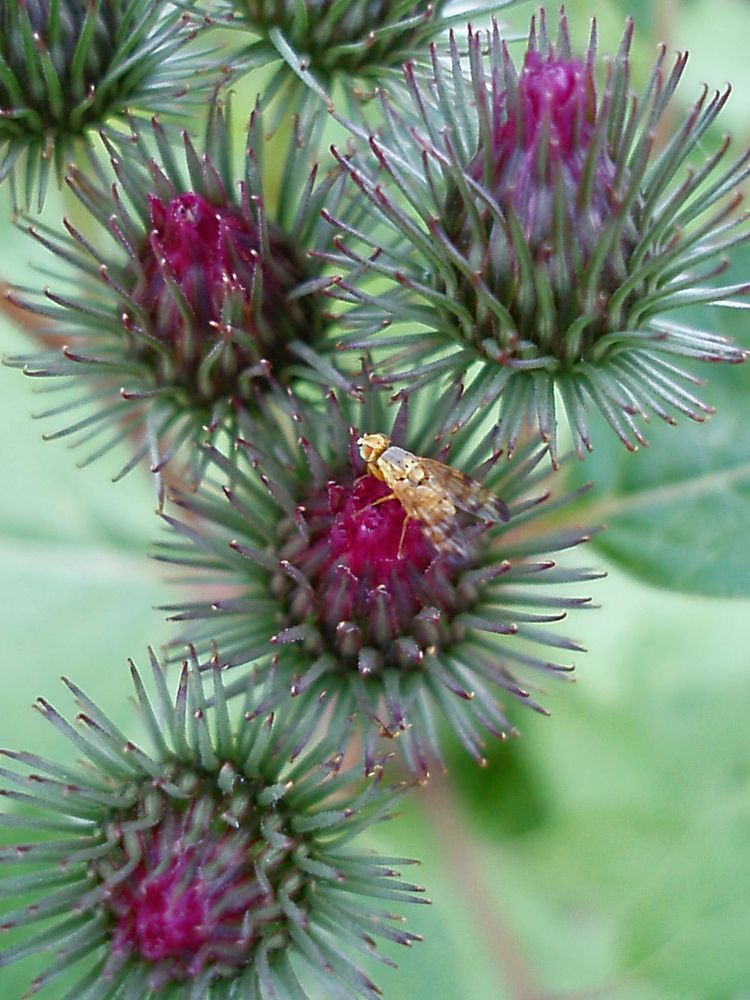 Photograph by Андрей Осмоловский