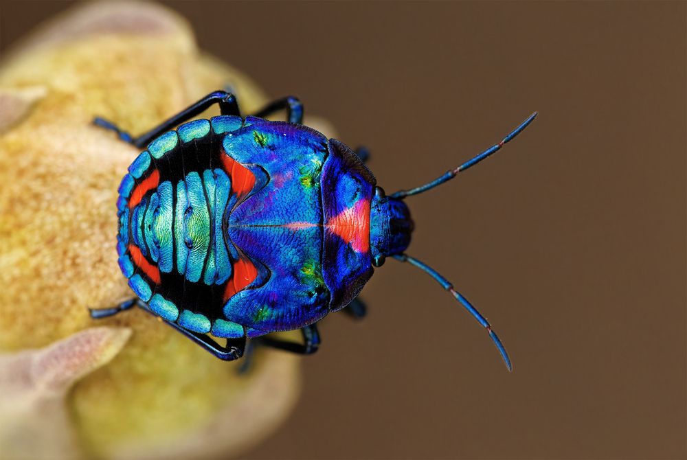 Photograph by Alexander Babych