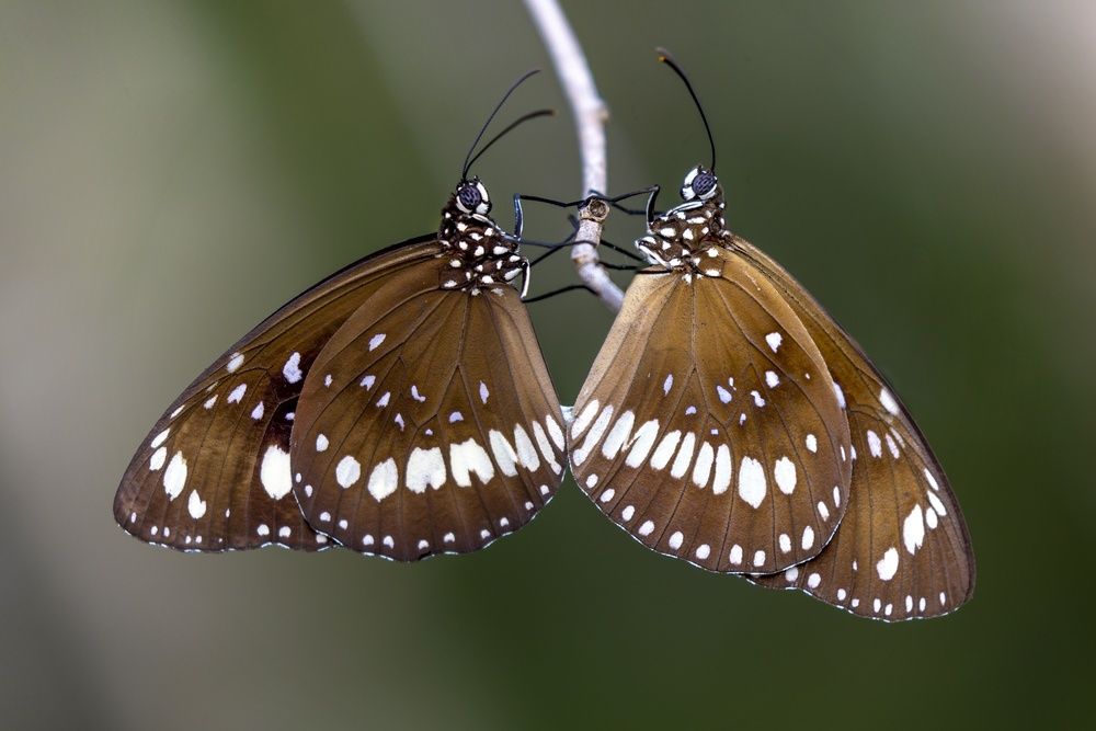 Photograph by Alexander Babych