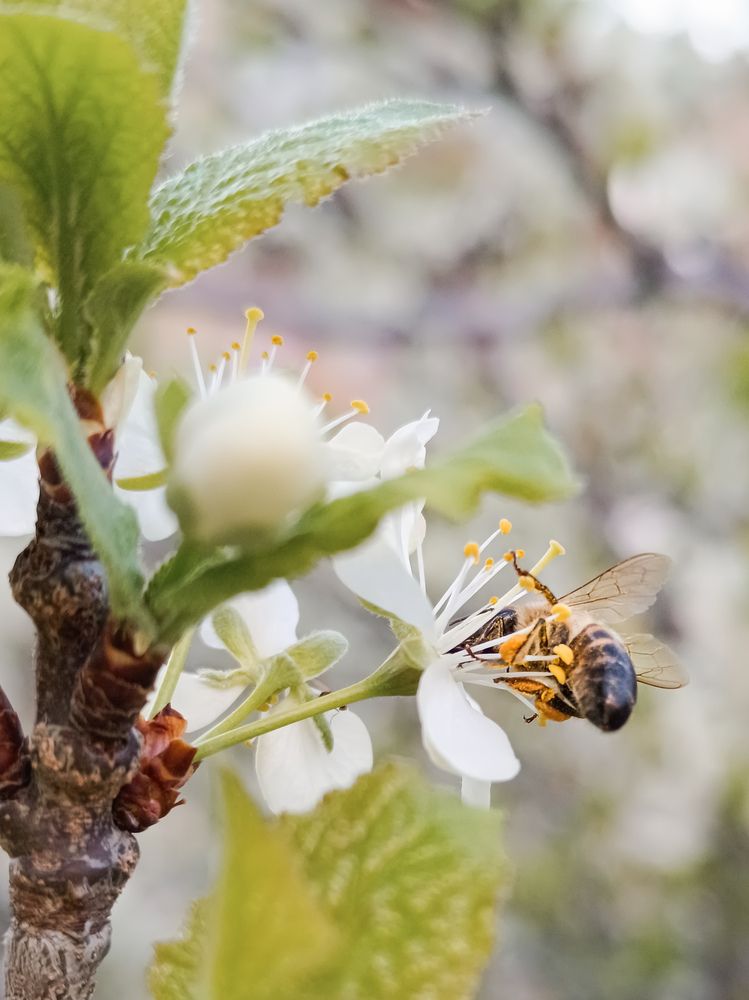 Photograph by Margarita Presidentova