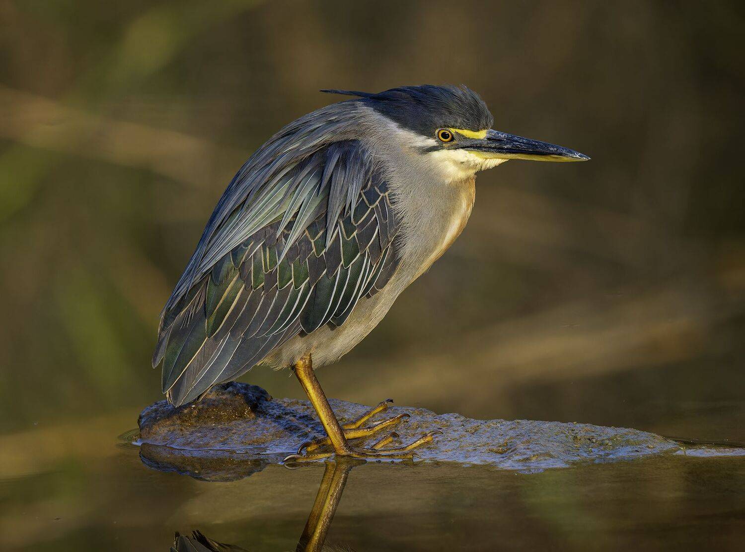 Фотография #12075669