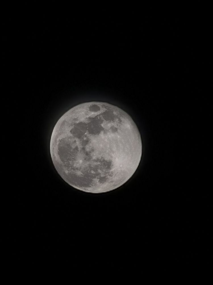 Photograph by Алексей Держай