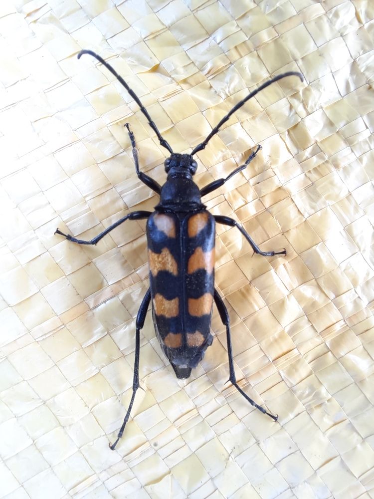 Photograph by Владимир Малёшин