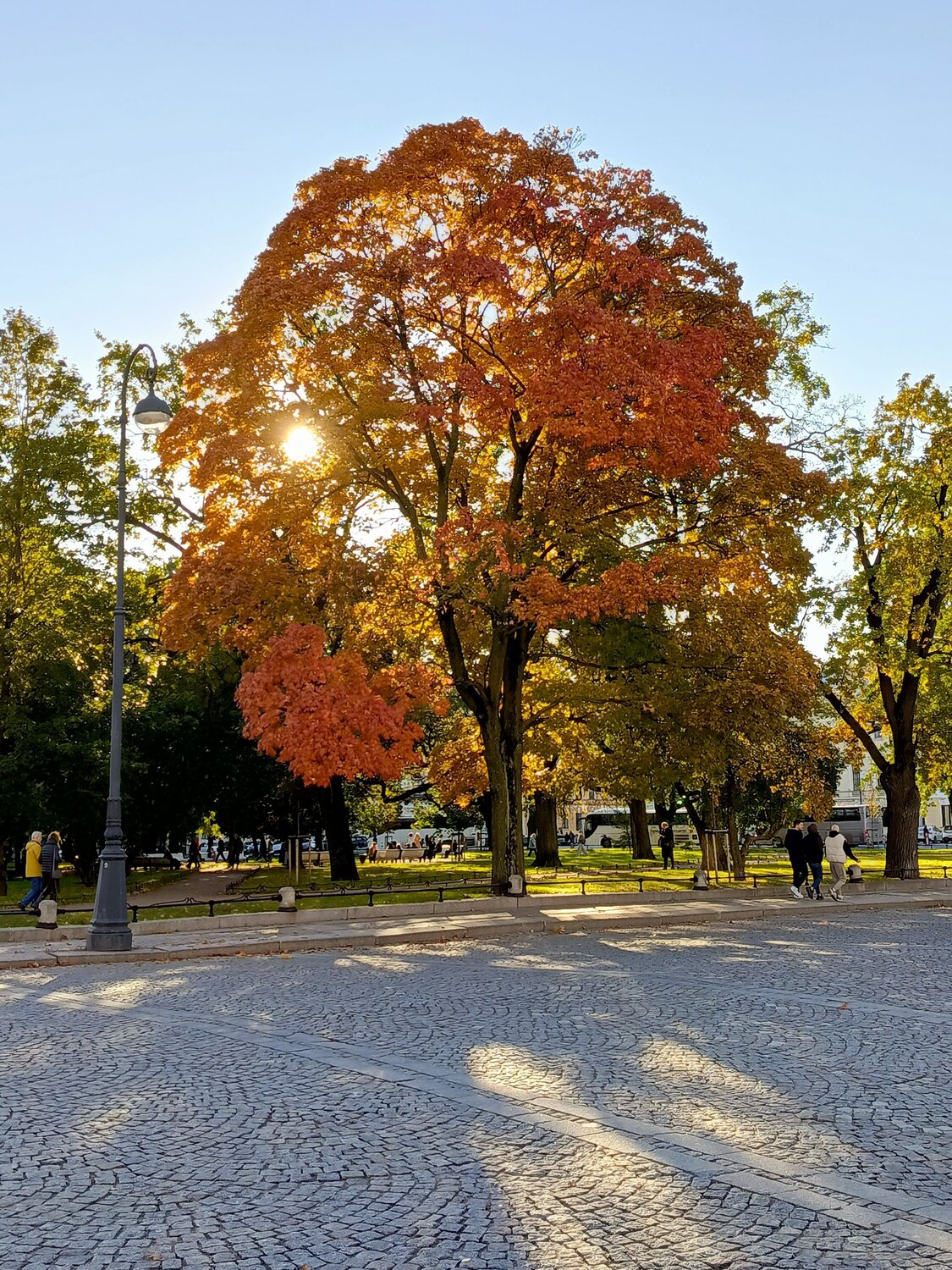 Осень в городе