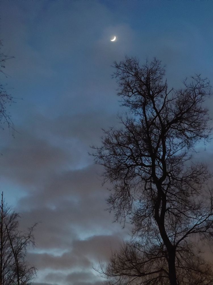 Photograph by Алексей Карчевский