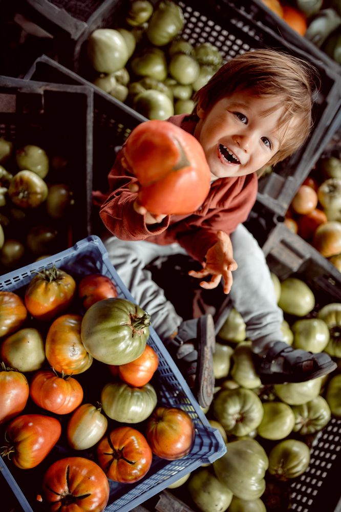 Фотография автора Екатерина Рядчикова