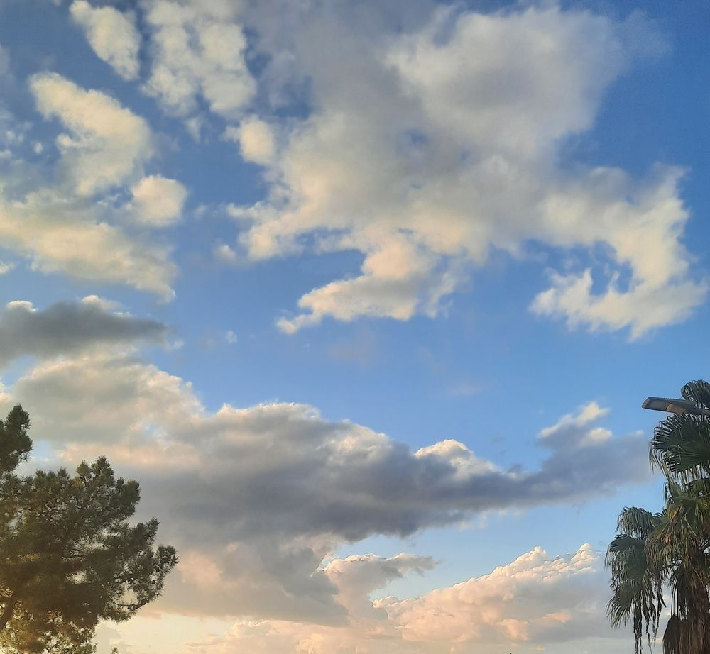 Фотография автора Anabela Maria Lima Silva