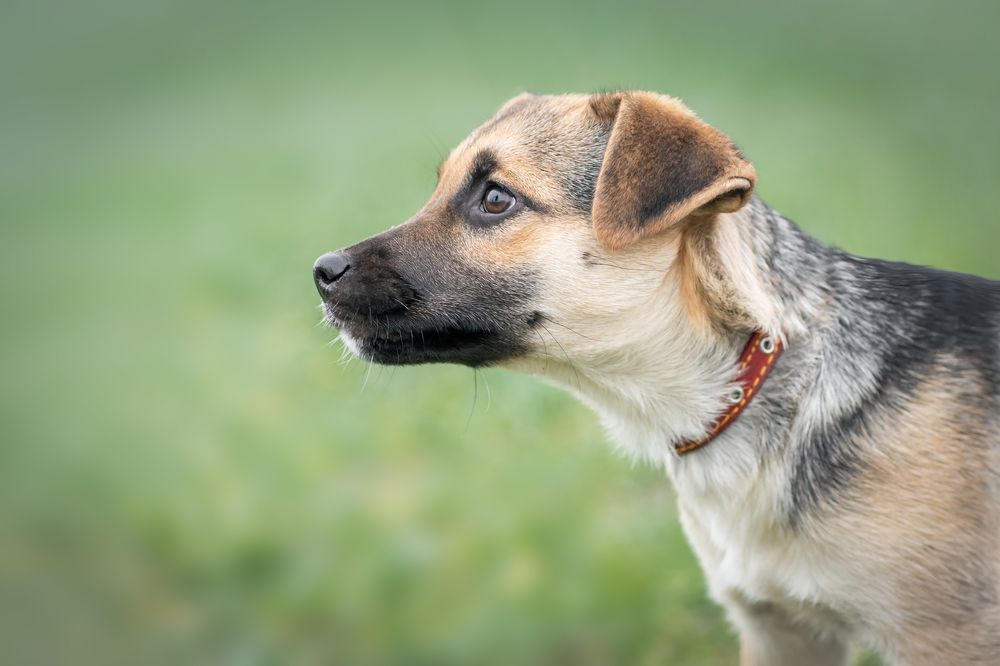 Photograph by Валентина Найдюк