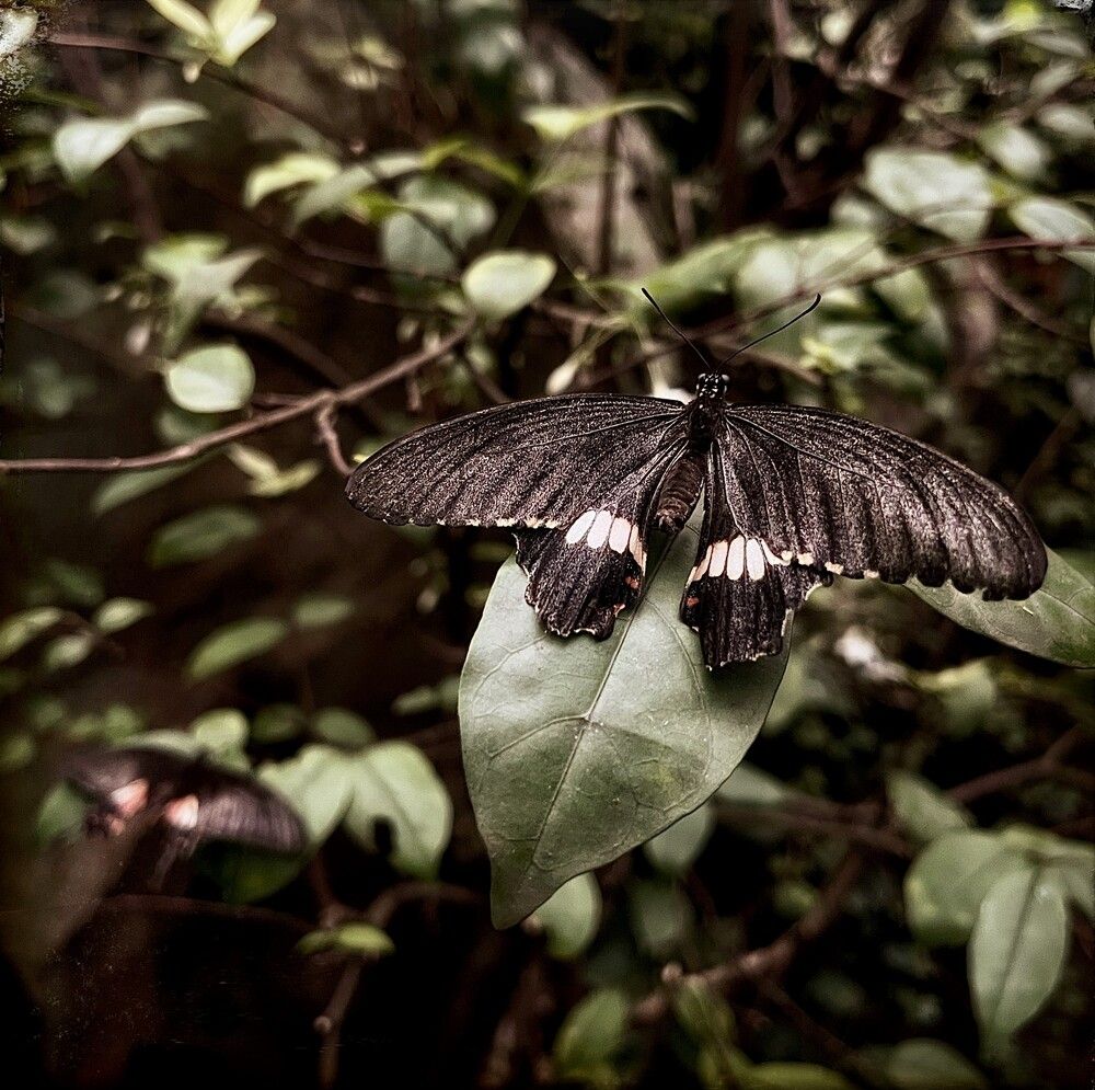 Photograph by Iuliia Akhulkova