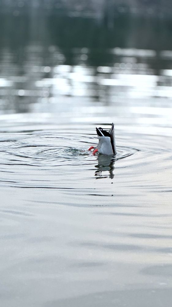 Photograph by Юлия Абрамович