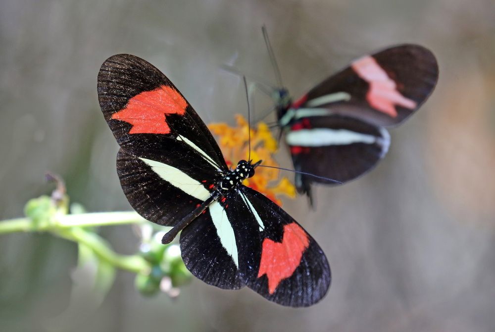 Photograph by Бибичков Михаил