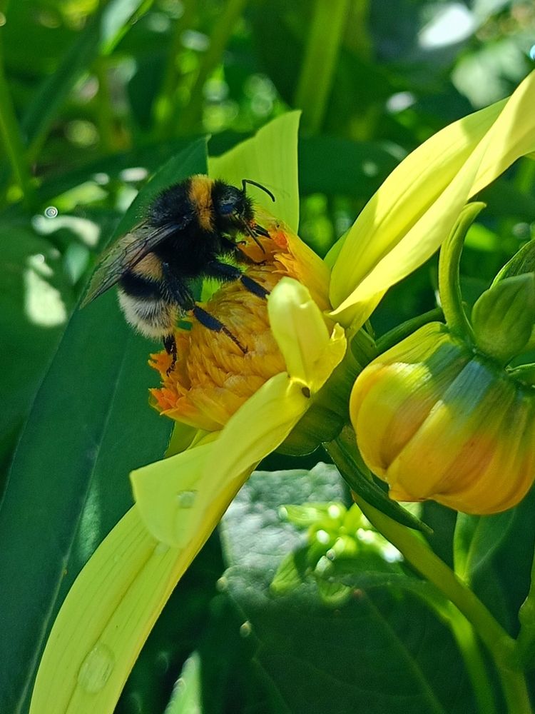 Photograph by Елена Чернякова