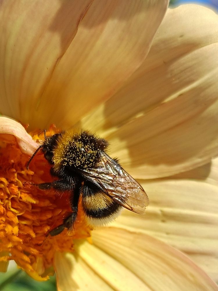 Photograph by Елена Чернякова