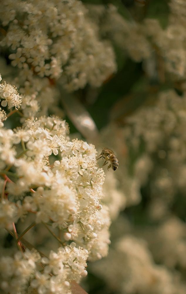 Photograph by Ирина Дерда