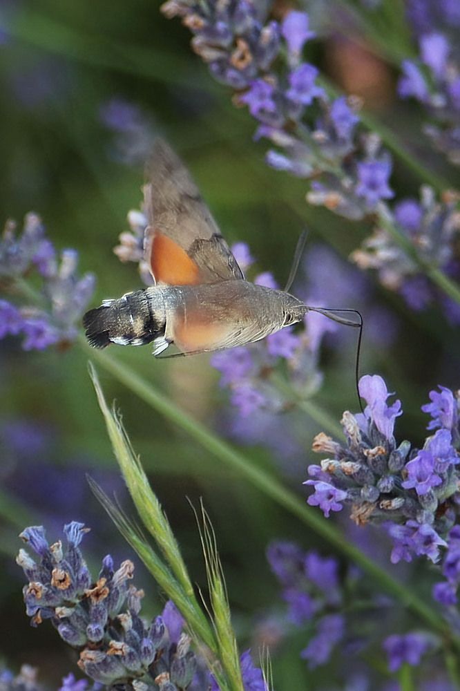 Photograph by Наталья Юденкова