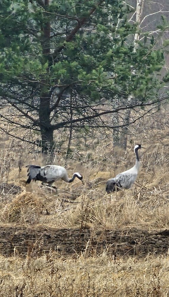 Photograph by Aleksandras Meisutovicius