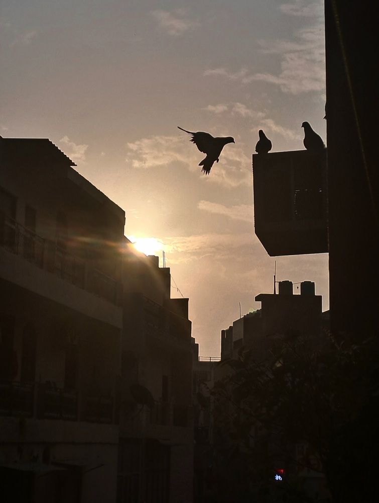 Photo #12076605