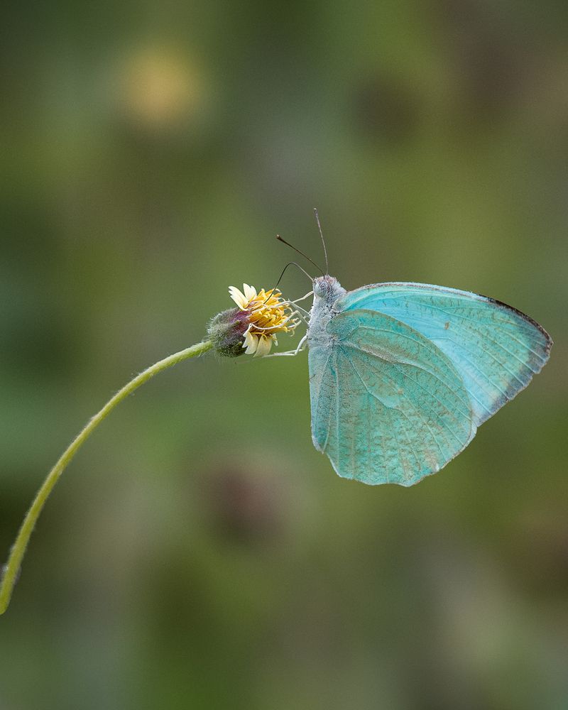 Photograph by Prabhat Ghosh