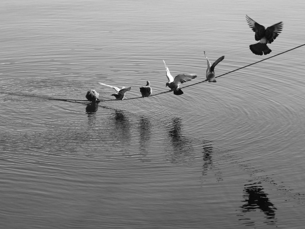 Photograph by Марианна Браун