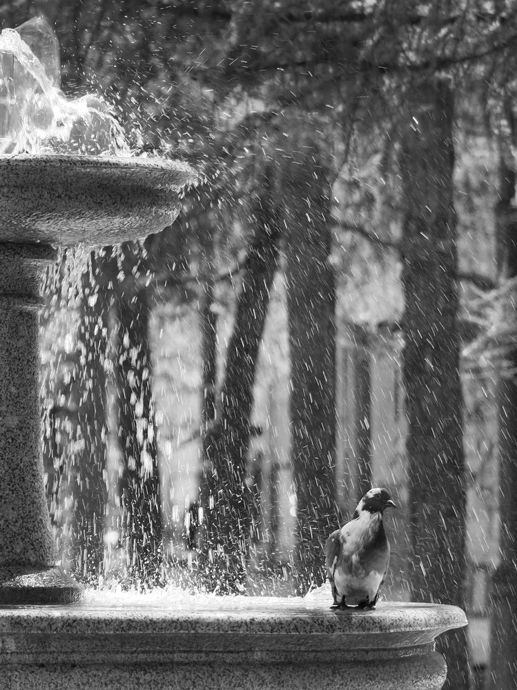 Photograph by Марианна Браун