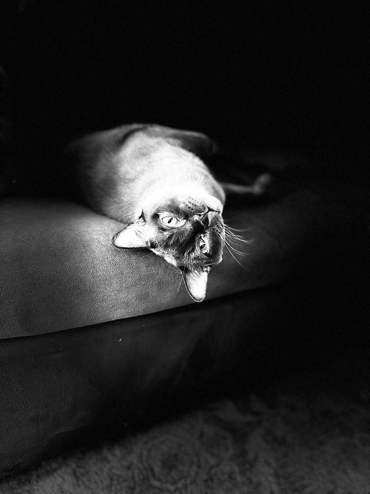 Photograph by Юлия Давшан