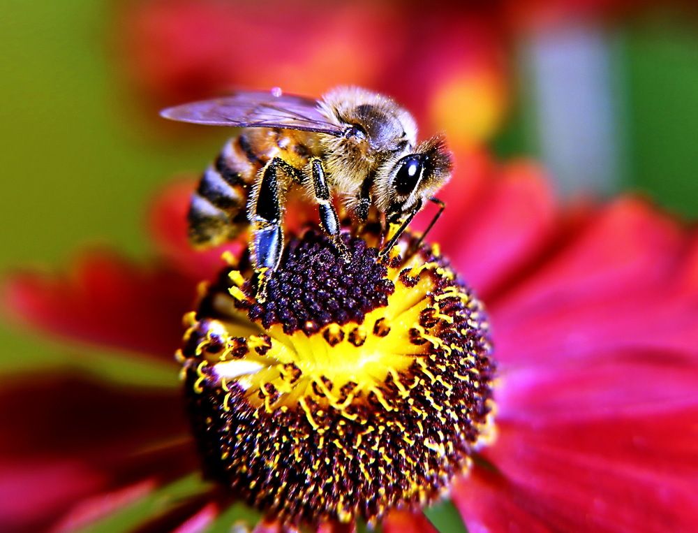 Photograph by Александр Лазебник