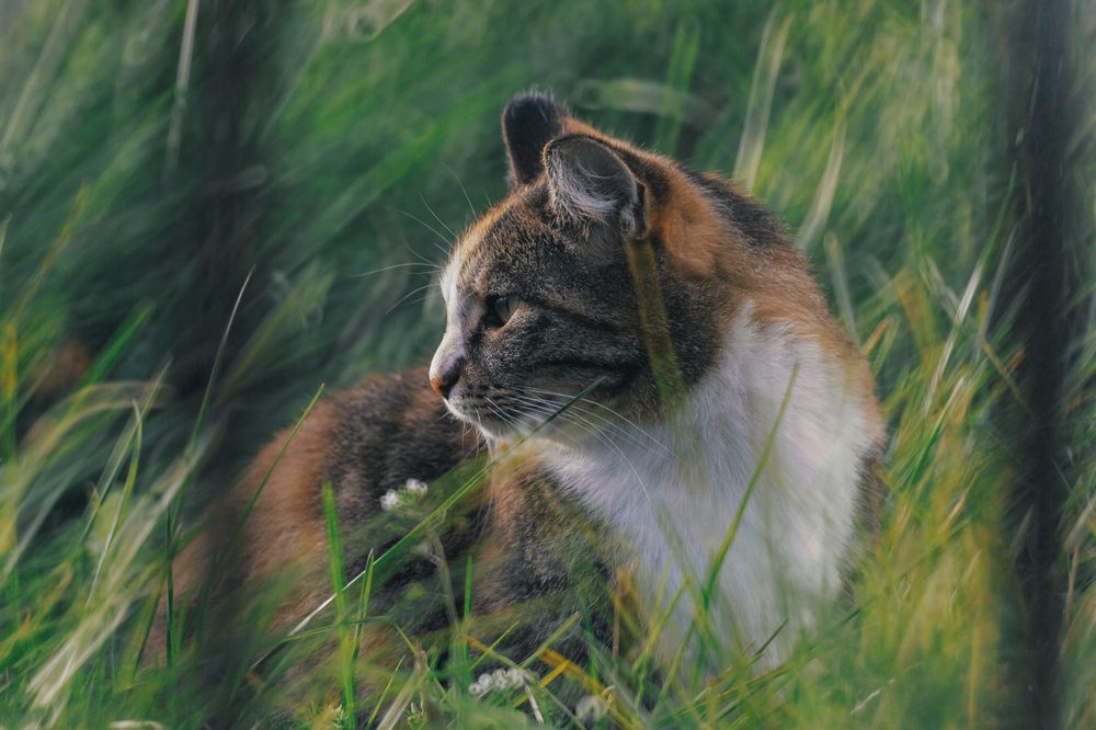 Фотография автора Андрей Колоденков