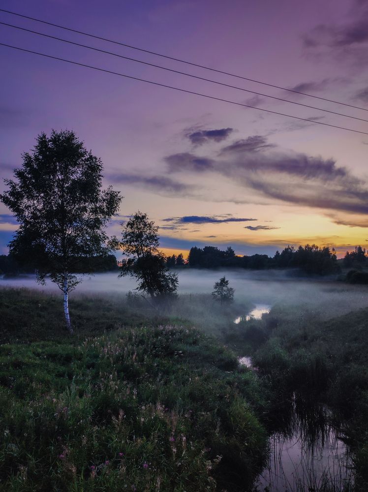 Photograph by Россоловская Евгения