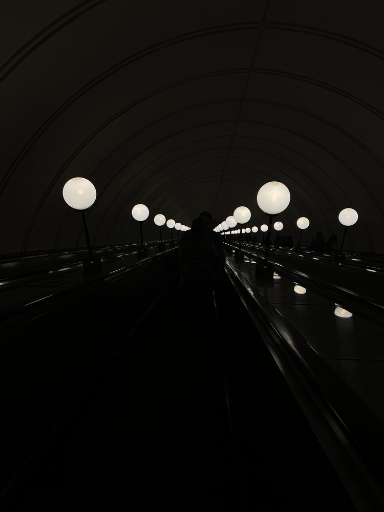 Photograph by Светлана