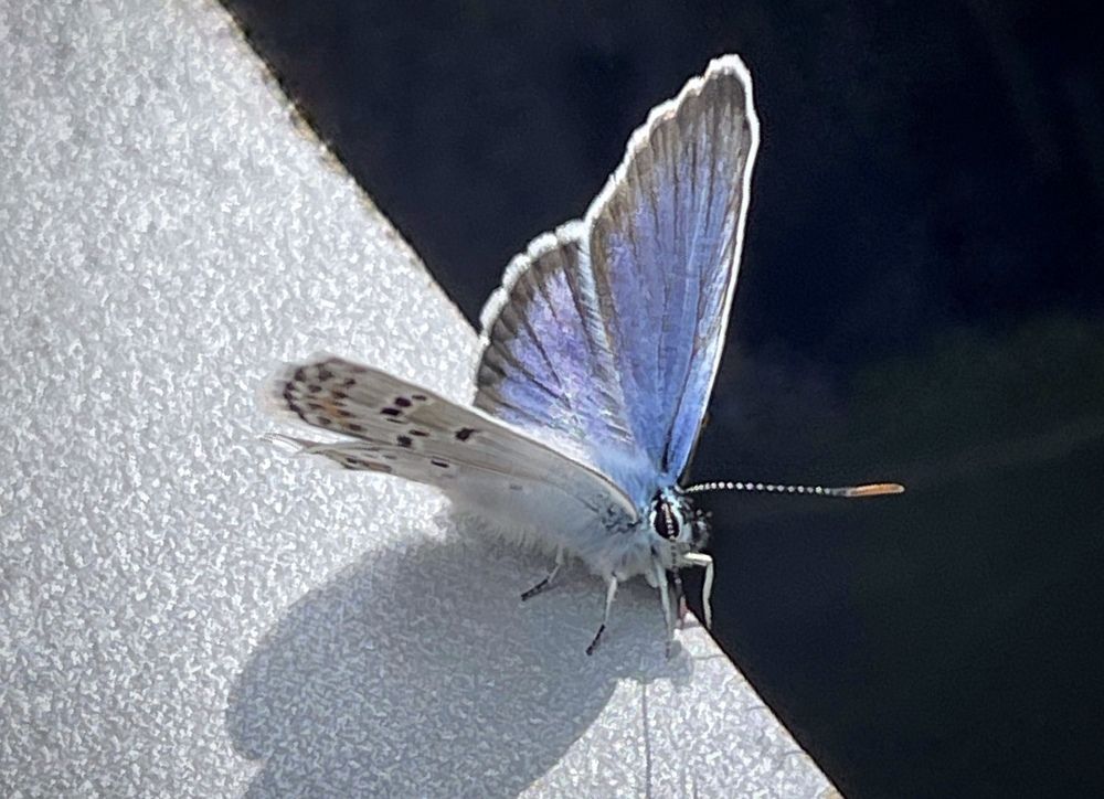 Photograph by ЛИЛИЯ БОБКО