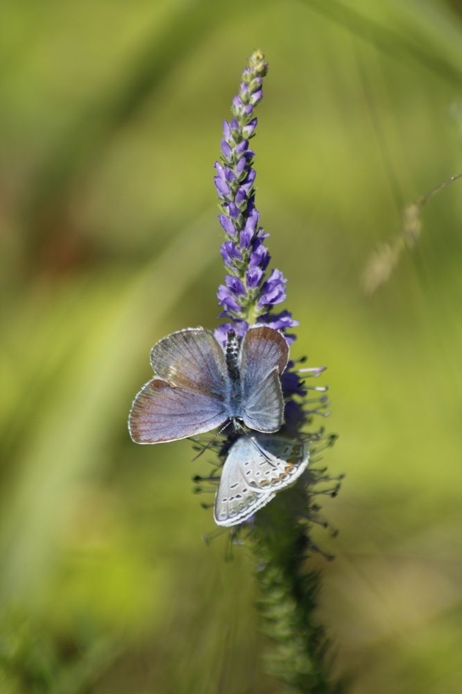 Photograph by Александр Чернов