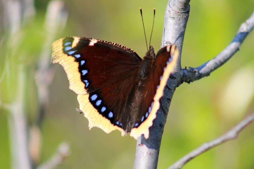 Photograph by Александр Чернов