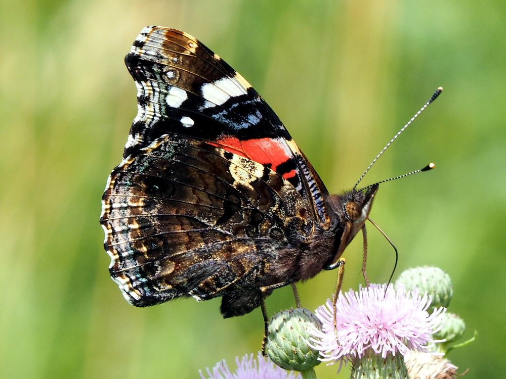 Photograph by Олег