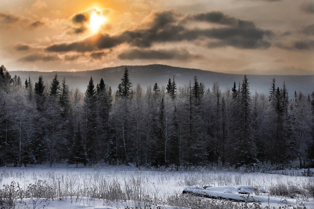 Photograph by Наталья Викарчук