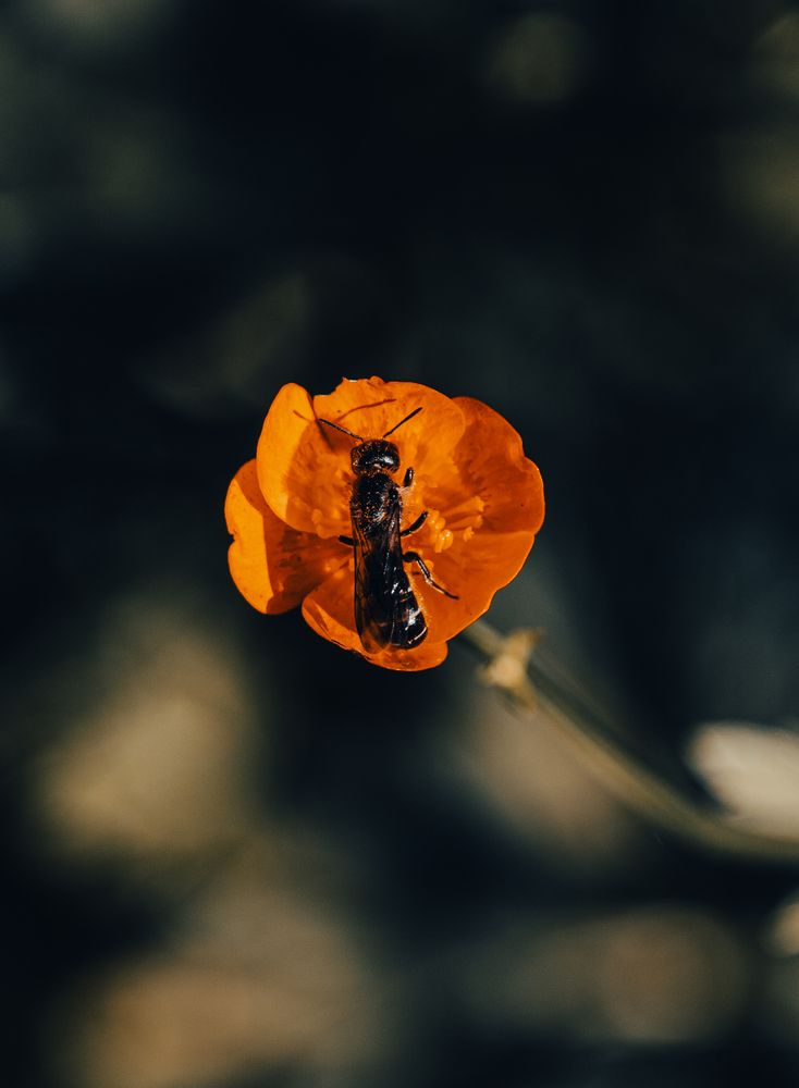 Photograph by Герман Крупенин