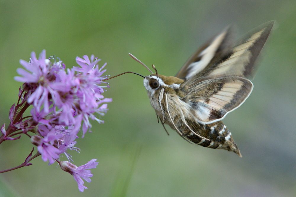 Photograph by Елена Валова