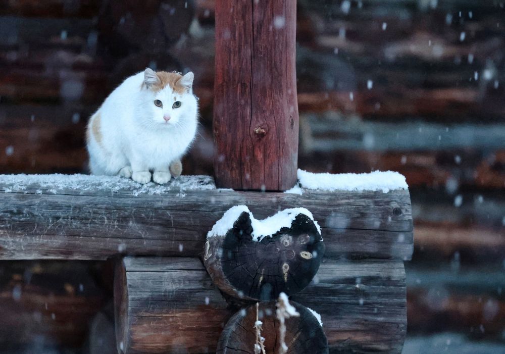 Photograph by Наталья Викарчук