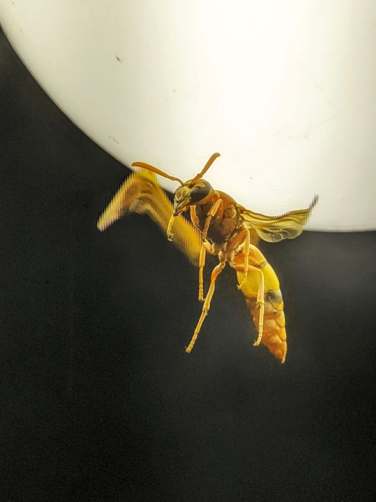 Photograph by INDRANIL MUKHERJEE