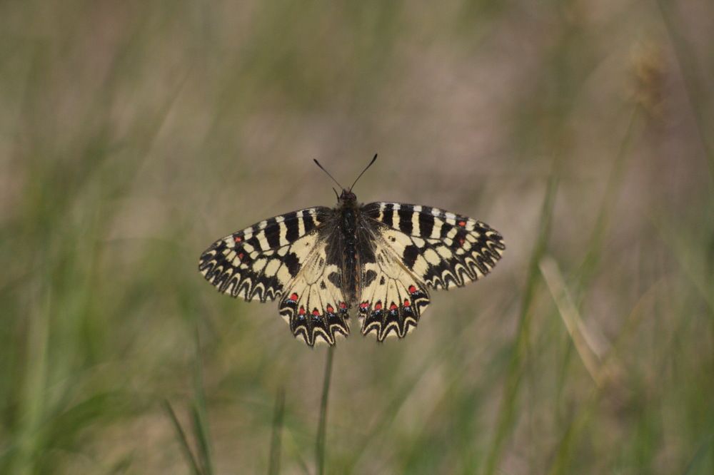 Photograph by Елена Валова