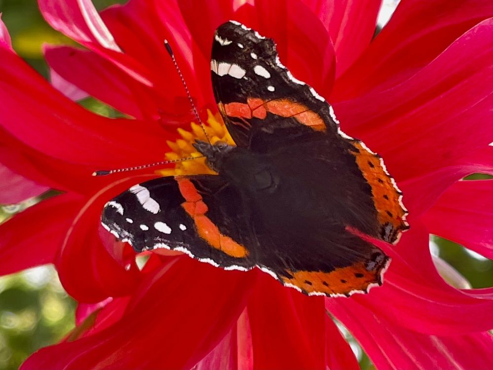 Photograph by ЛИЛИЯ БОБКО