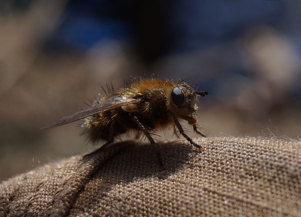 Photograph by Лена Максимкина