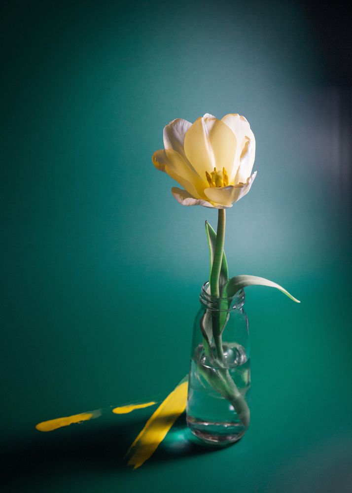 Photograph by Анна Брагина