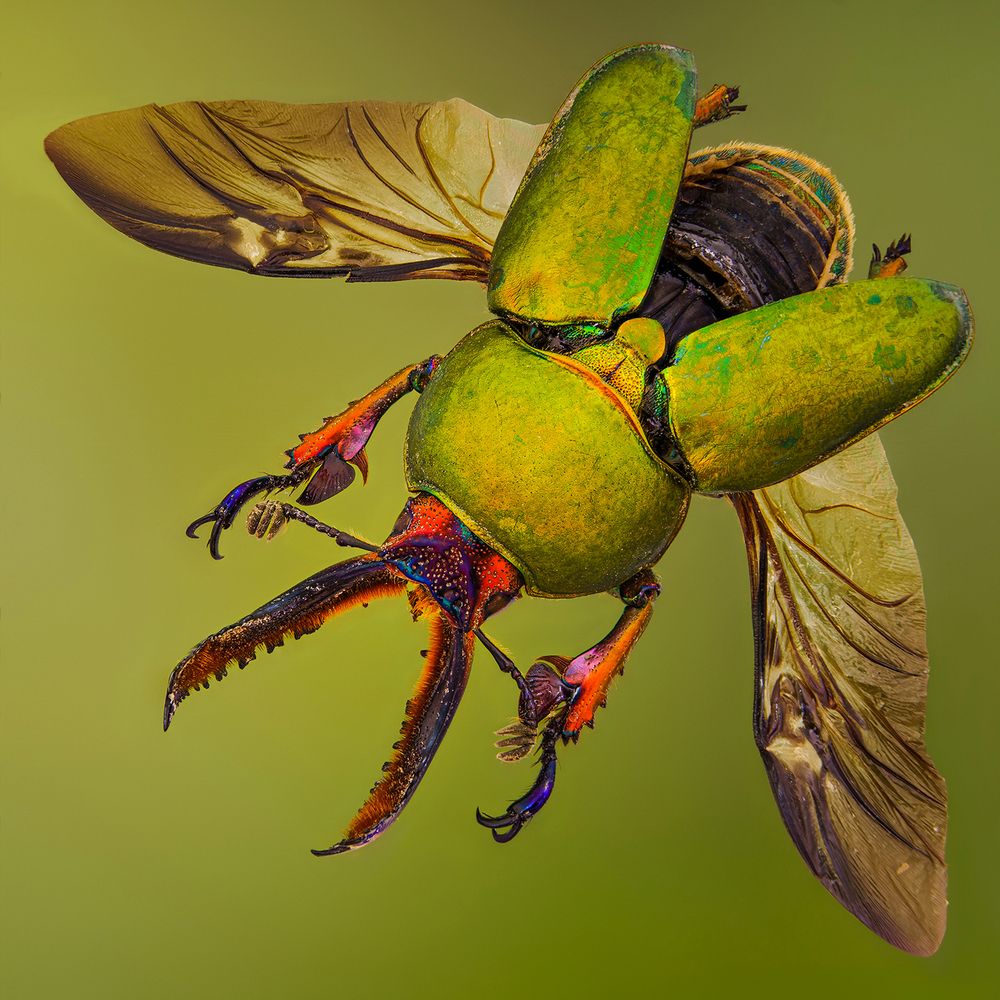 Photograph by Angi Wallace